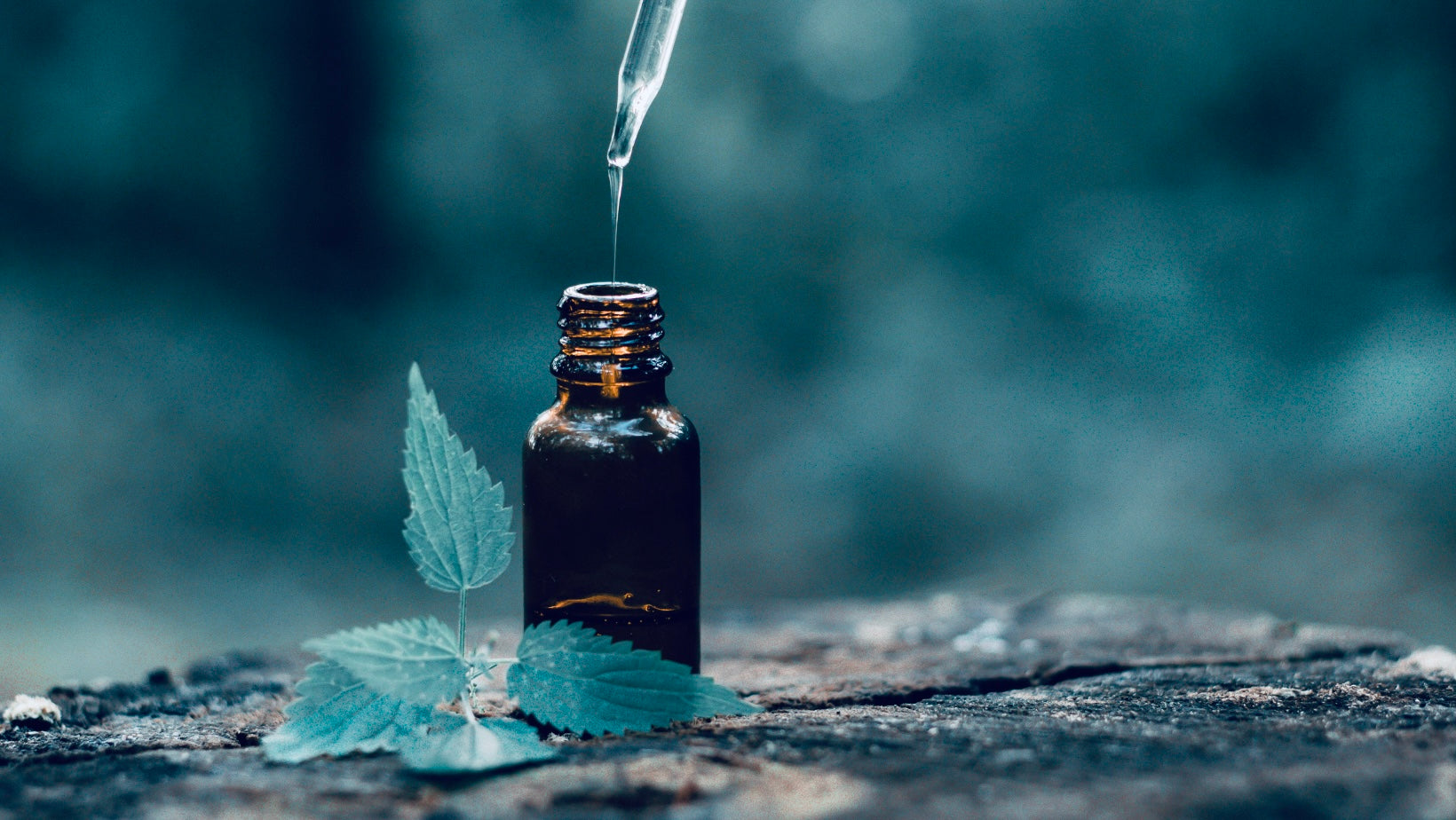 什麼是靜心精油(Serenity Essential oils)呢?  活在當下,透過正念靜心和精油專注於此刻